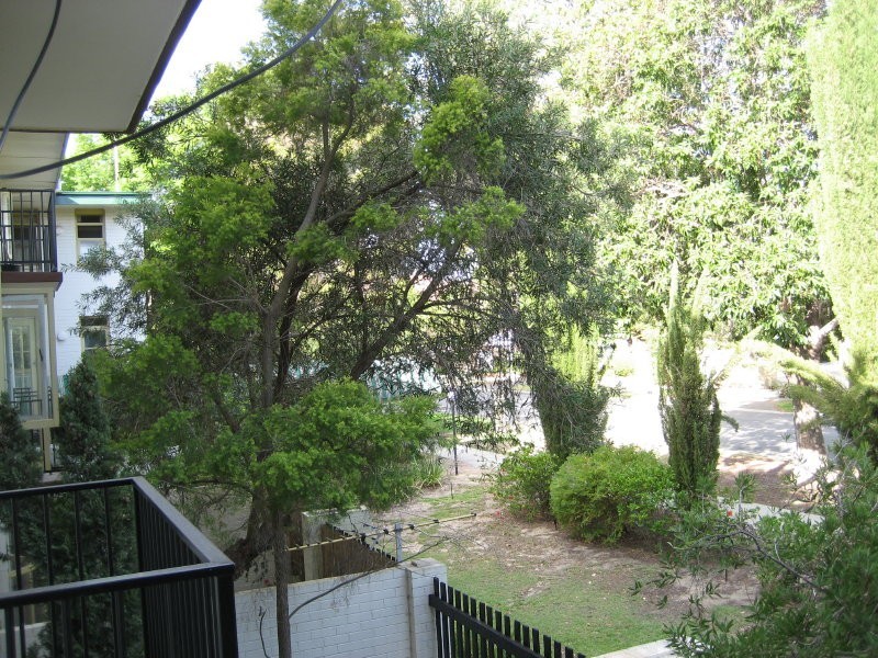 15/17 The Avenue, Crawley WA 6009