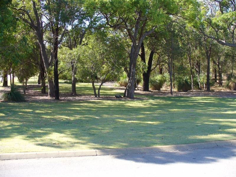 1 Radnor Way, Coolbellup WA 6163