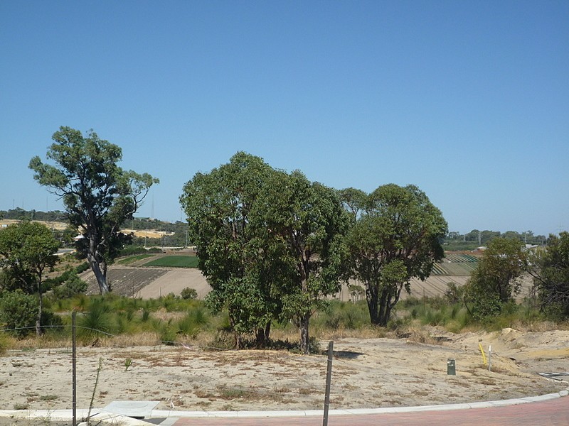 14 Wooleen Parkway, Beeliar WA 6164