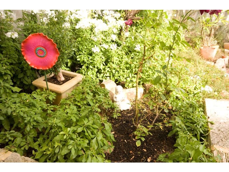 5 Manna Court, South Lake WA 6164