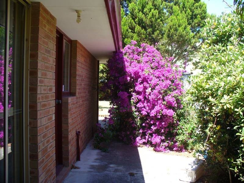 1/265 Rockingham Road, Spearwood WA 6163