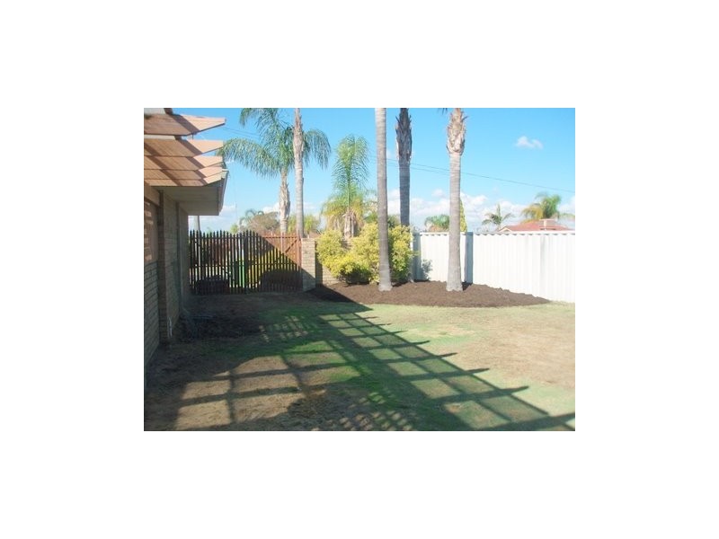 20 Marigold Place, Yangebup WA 6164