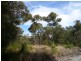 58 Senecio Lane, Beeliar WA 6164