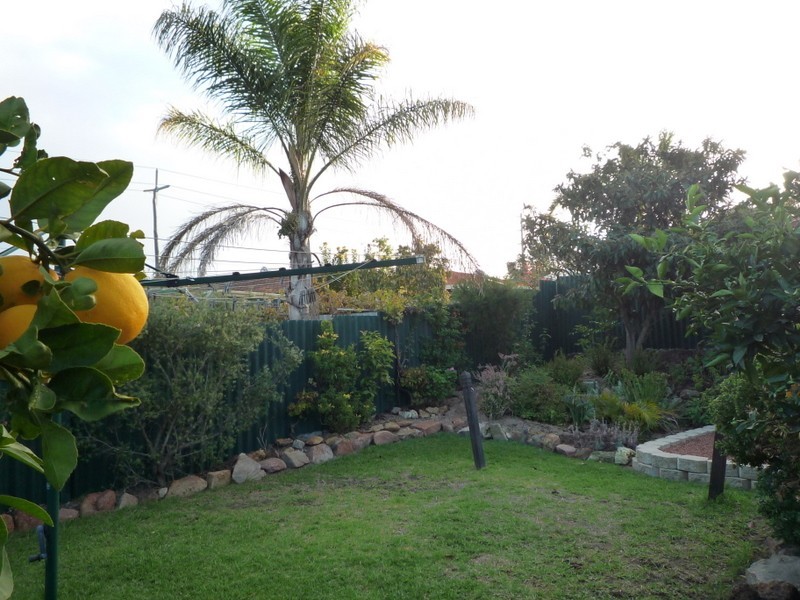 50 Sandpiper Loop, Yangebup WA 6164