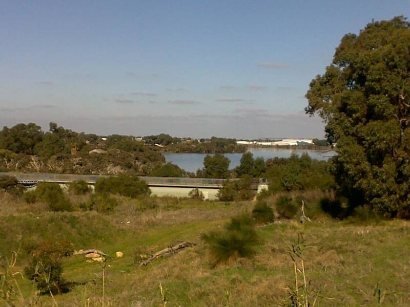 5 Katsura Gardens, Munster WA 6166