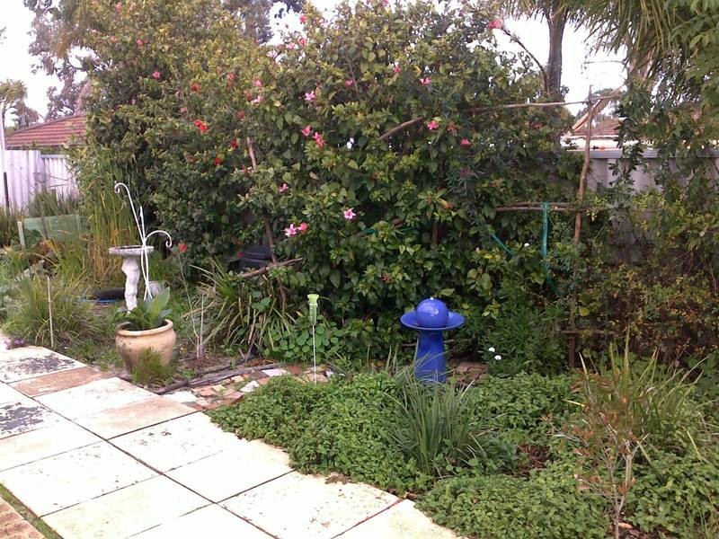 33B Annois Road, Bibra Lake WA 6163