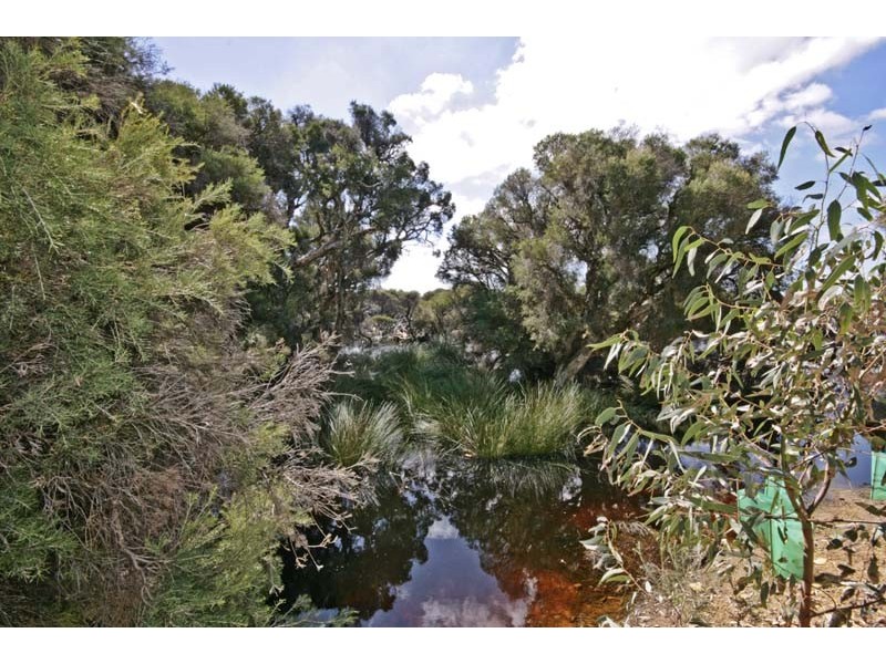 1 Grljusich Place, Spearwood WA 6163