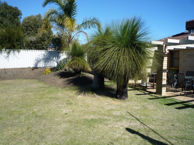 32 Torenia Way, Yangebup WA 6164
