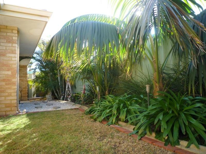 24 Torenia Way, Yangebup WA 6164