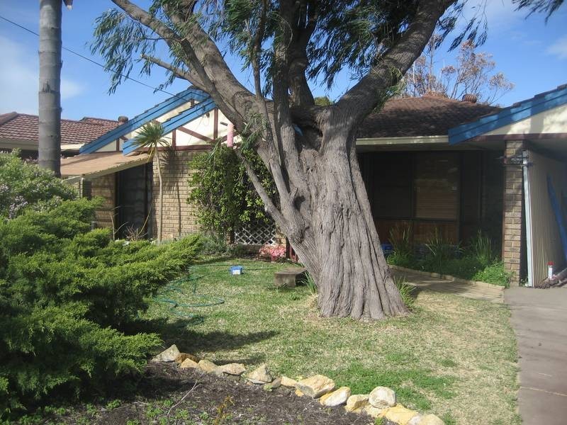 4 Karri Court, Yangebup WA 6164