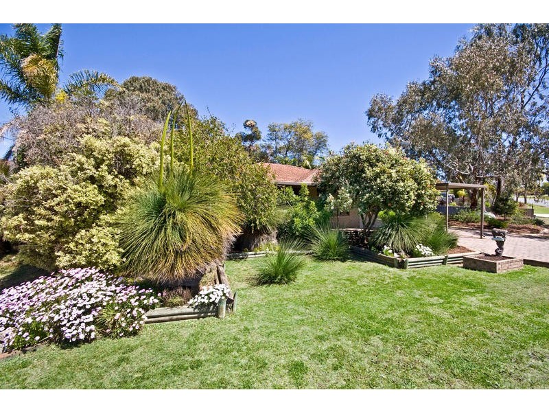 55 Milgun Drive, Yangebup WA 6164