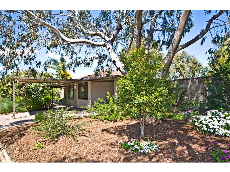 55 Milgun Drive, Yangebup WA 6164