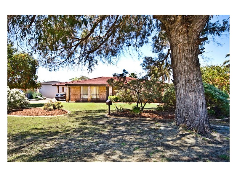 87 Dotterel Way, Yangebup WA 6164