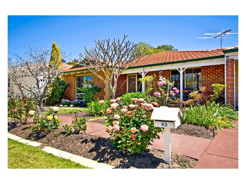 43 Milgun Drive, Yangebup WA 6164