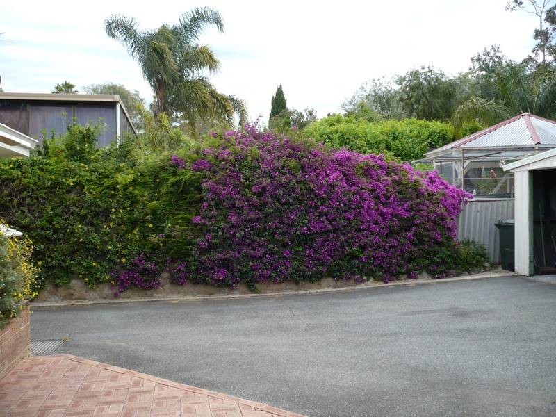 33 Brookes Way, Calista WA 6167