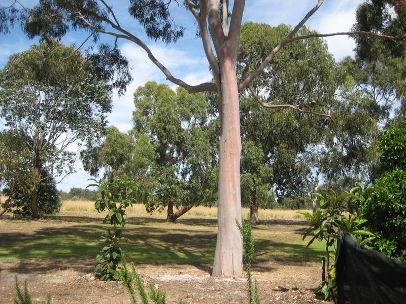 477 Rowley Road, Banjup WA 6164