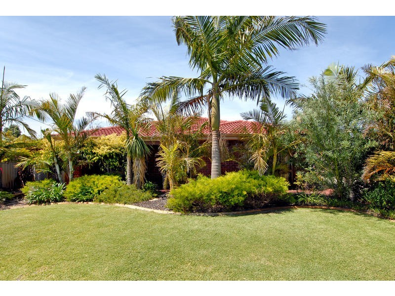 6 Pelican Ramble, Yangebup WA 6164