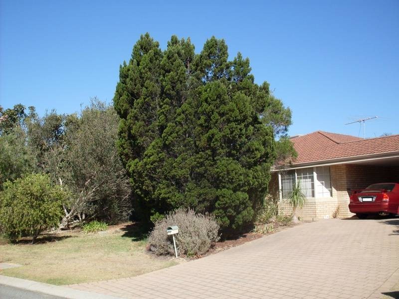 8 Catalpa Crescent, South Lake WA 6164