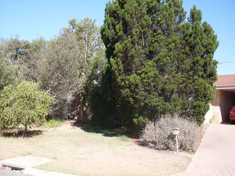 8 Catalpa Crescent, South Lake WA 6164