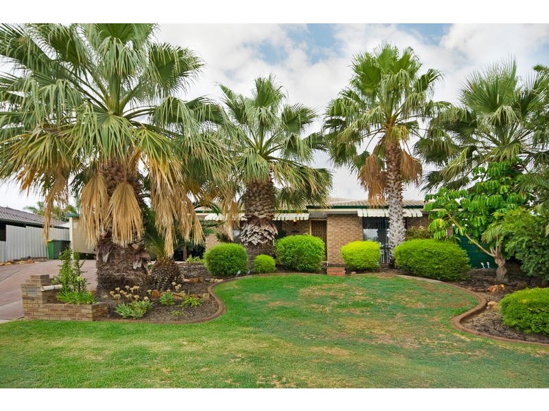 16 Seagull Way, Yangebup WA 6164