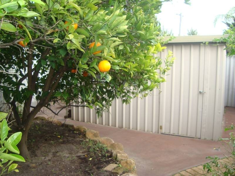 10 Knot Way, Yangebup WA 6164