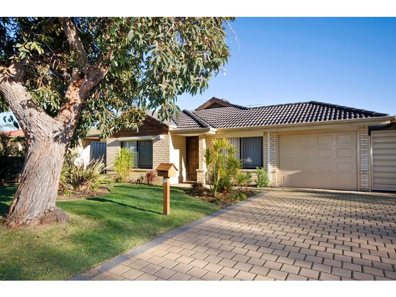 37 Drosera Loop, Beeliar WA 6164