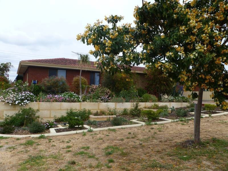 2B Potter Court, Spearwood WA 6163