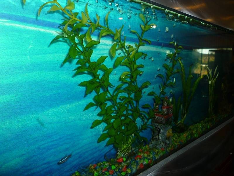 2 Bloodwood Circle, South Lake WA 6164