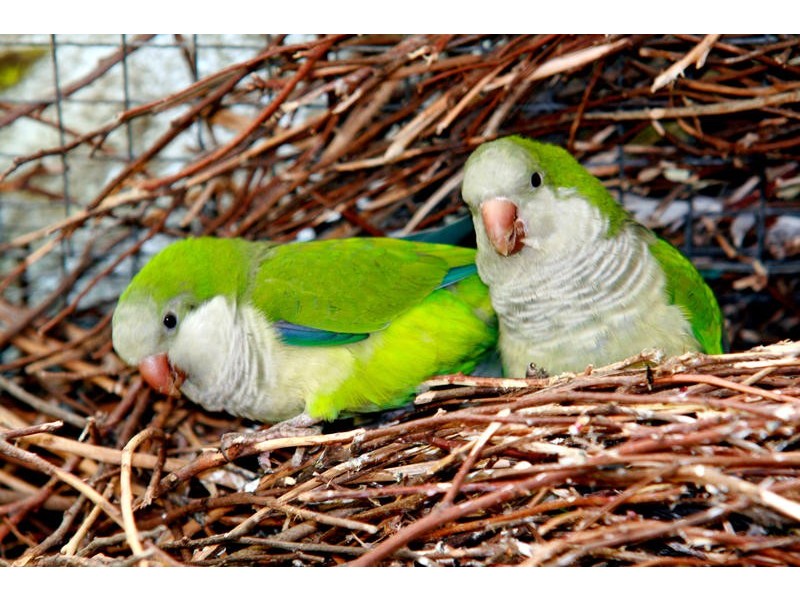 23A Labyrinth Way, South Lake WA 6164