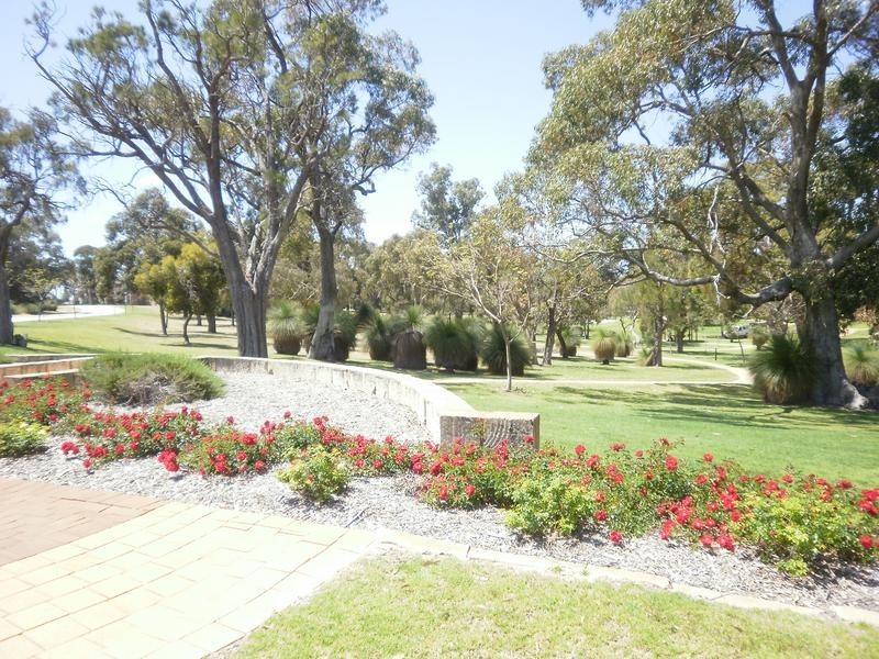 8 Dorcas Way, Coolbellup WA 6163