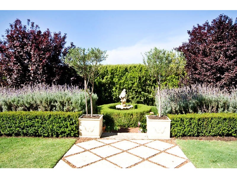 17 Drosera Loop, Beeliar WA 6164