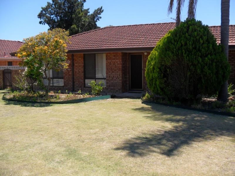 46 Bibra Drive, Bibra Lake WA 6163