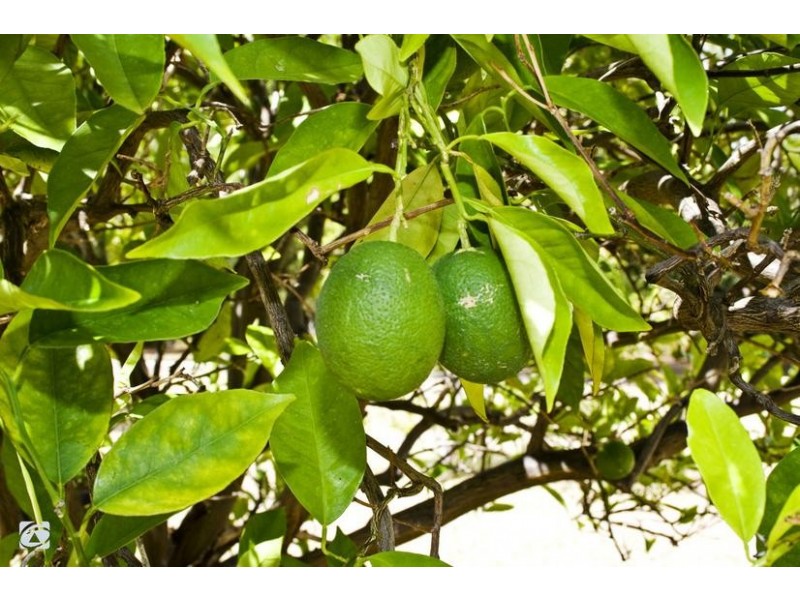 320 South Western Highway, Wungong WA 6112