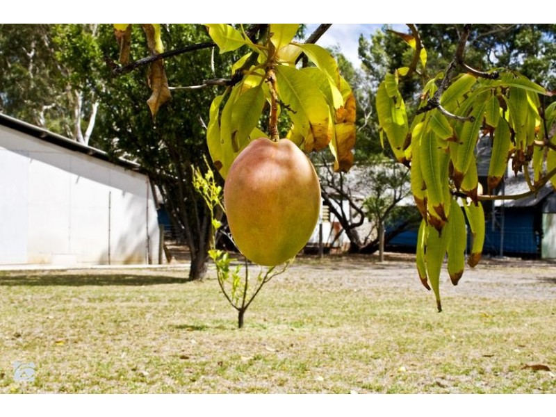 320 South Western Highway, Wungong WA 6112