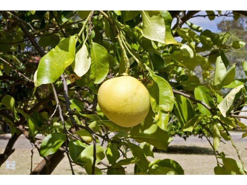 320 South Western Highway, Wungong WA 6112