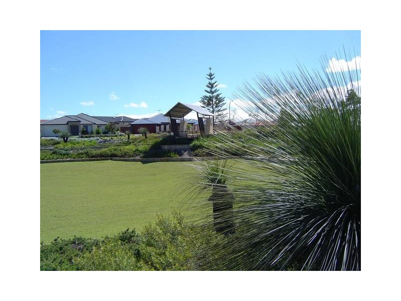 27 Bluebush Avenue, Beeliar WA 6164