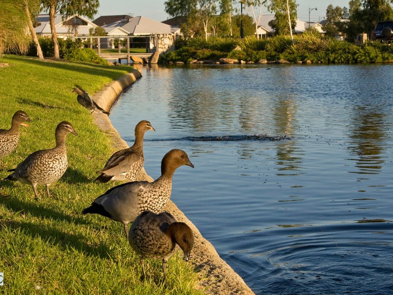 9 Aubin Grove Link, Aubin Grove WA 6164