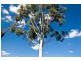 54A Glenbawn Drive, South Lake WA 6164