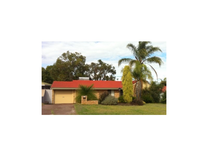 38 Dotterel Way, Yangebup WA 6164