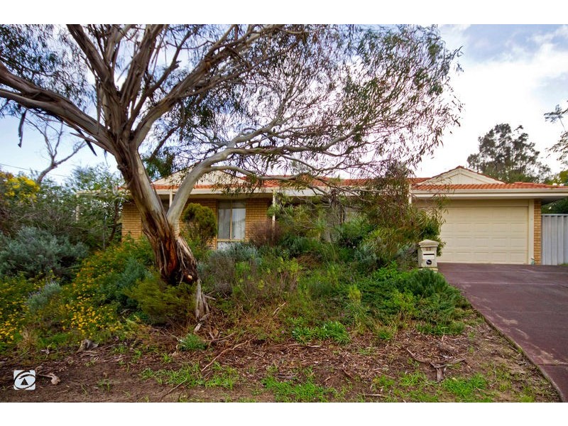 23 Torenia Way, Yangebup WA 6164