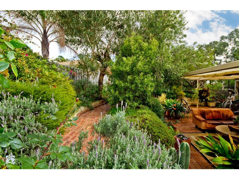 23 Torenia Way, Yangebup WA 6164