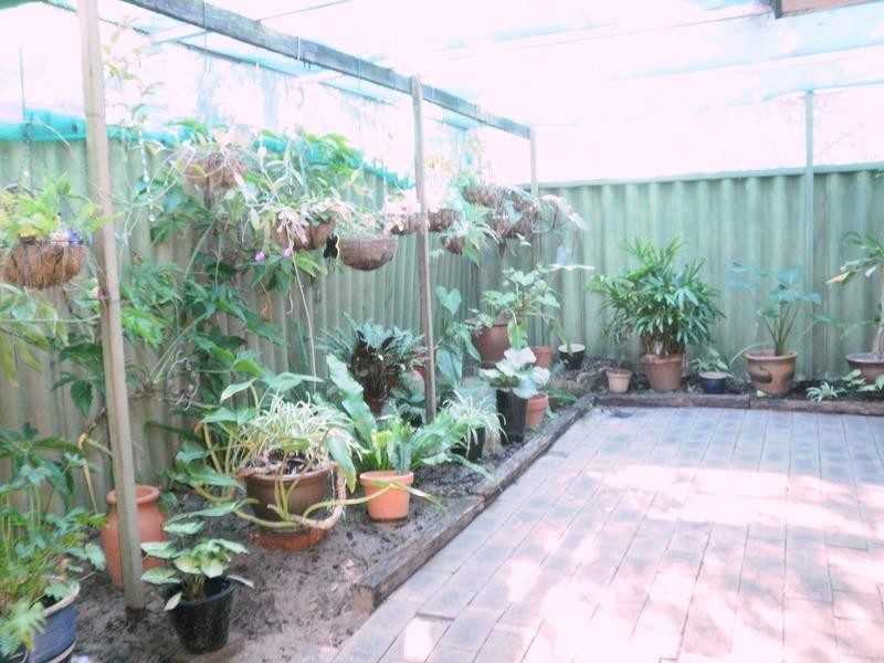 103 Cordelia Avenue, Coolbellup WA 6163