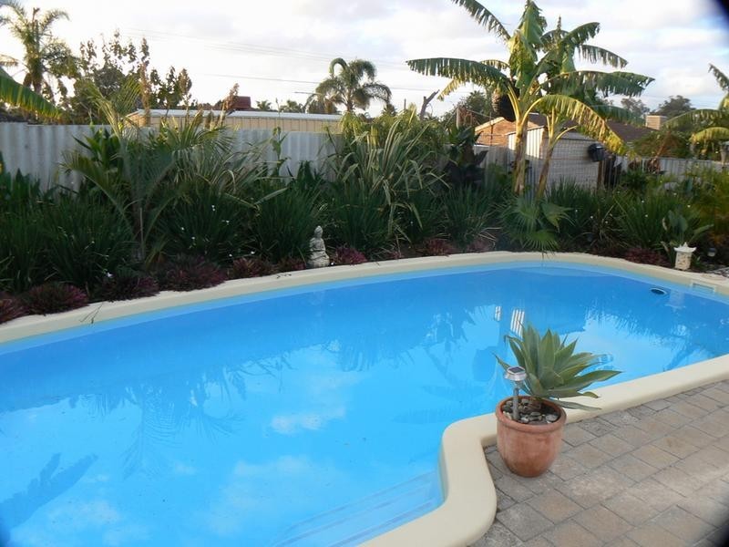 17 Mudlark Way, Yangebup WA 6164