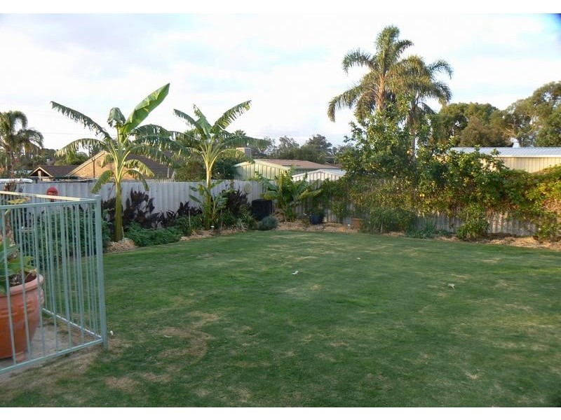 17 Mudlark Way, Yangebup WA 6164