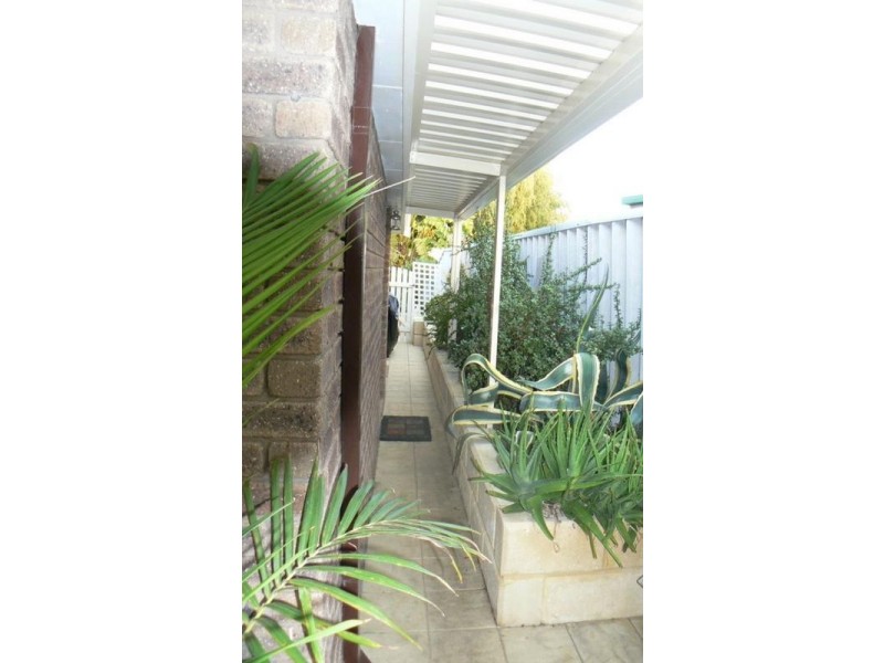 17 Mudlark Way, Yangebup WA 6164