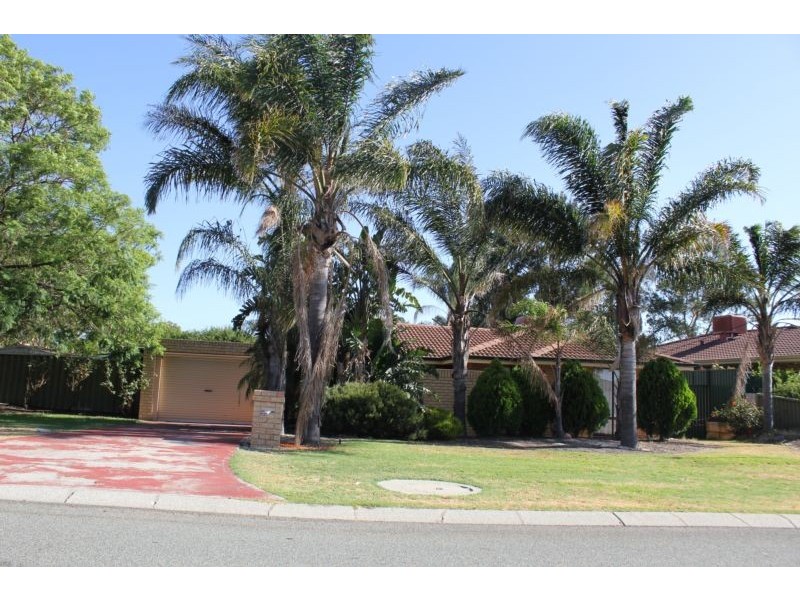 1 Marigold Place, Yangebup WA 6164