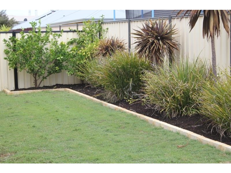 49 Plumwood Avenue, Hammond Park WA 6164