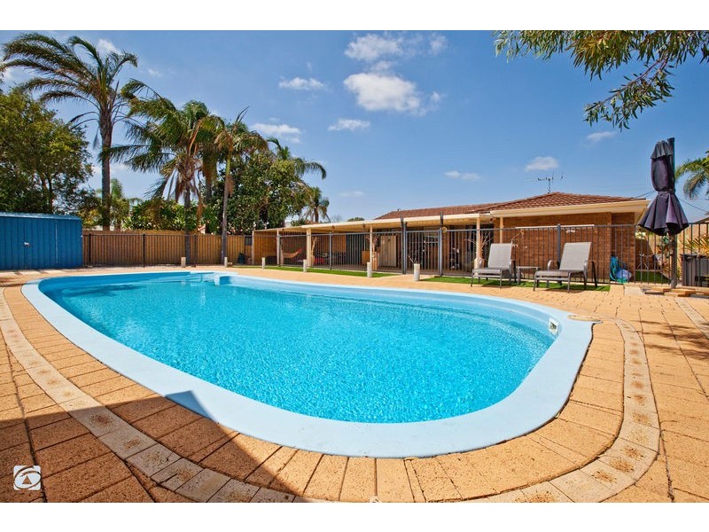 135 Osprey Drive, Yangebup WA 6164
