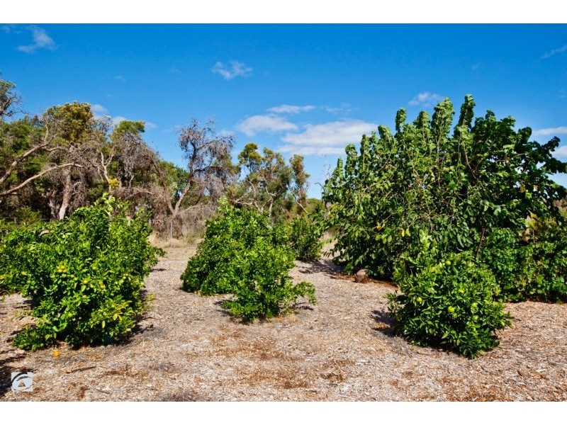 230 Gibbs Road, Banjup WA 6164