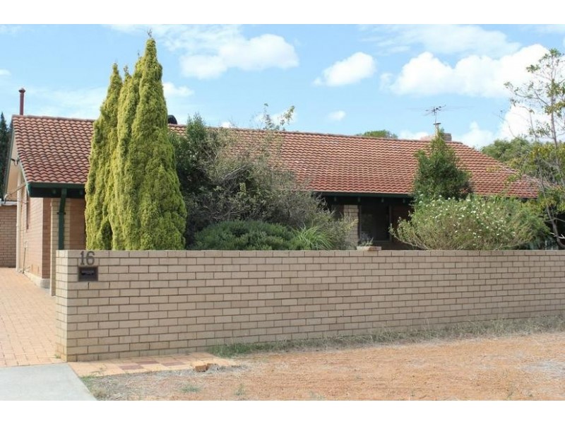 16 Brindle Street, Coolbellup WA 6163